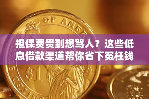 济南担保费贵到想骂人？这些低息借款渠道帮你省下冤枉钱