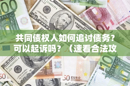 济南共同债权人如何追讨债务？可以起诉吗？（速看合法攻略）