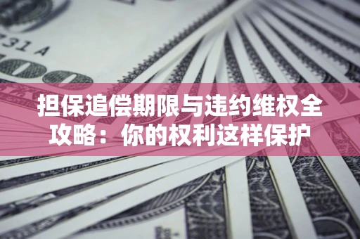 济南担保追偿期限与违约维权全攻略：你的权利这样保护